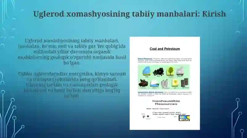 Uglerod xomashyosining tabiiy manbalari: Kirish 3