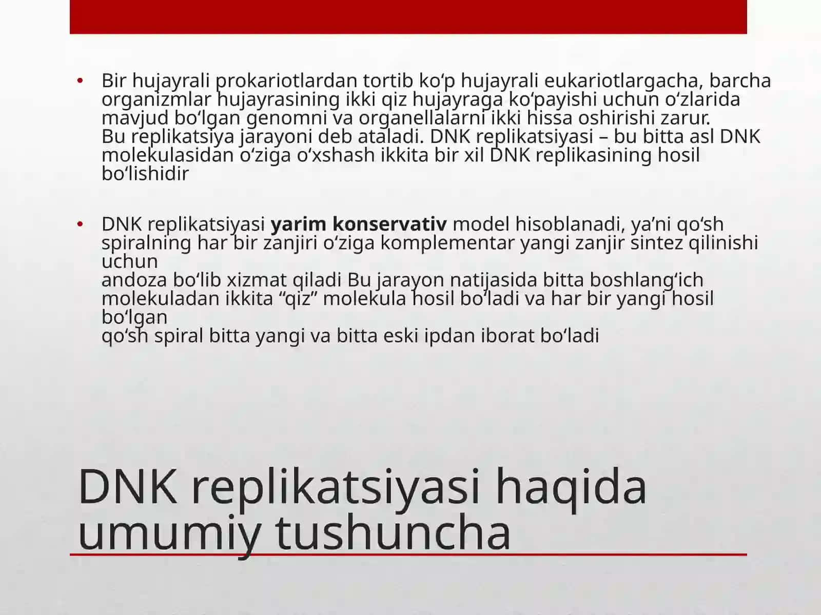 DNKreplikatsiyasi 3