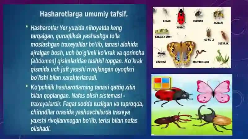 Entamologiya fanidan mustaqil talim 3