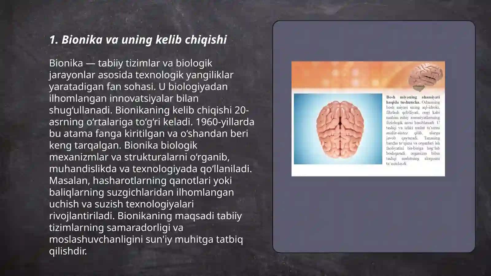 Bionika asoslari va uning inson hayotidagi oʻrni 3