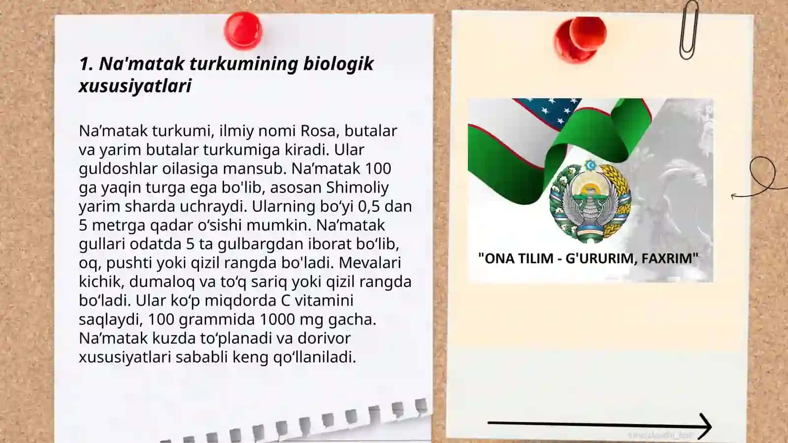 Na'matak turkumi haqida 3