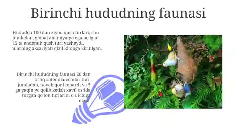 Birinchi hududning faunasi 3