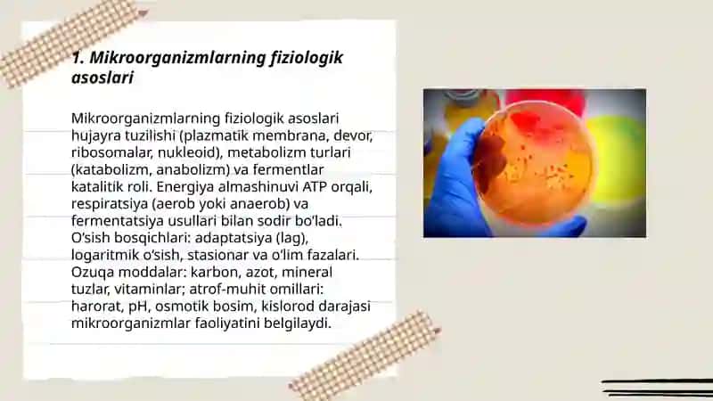 Mikroorganizimlarni fizologiyasi, osishi va kopayishi 3