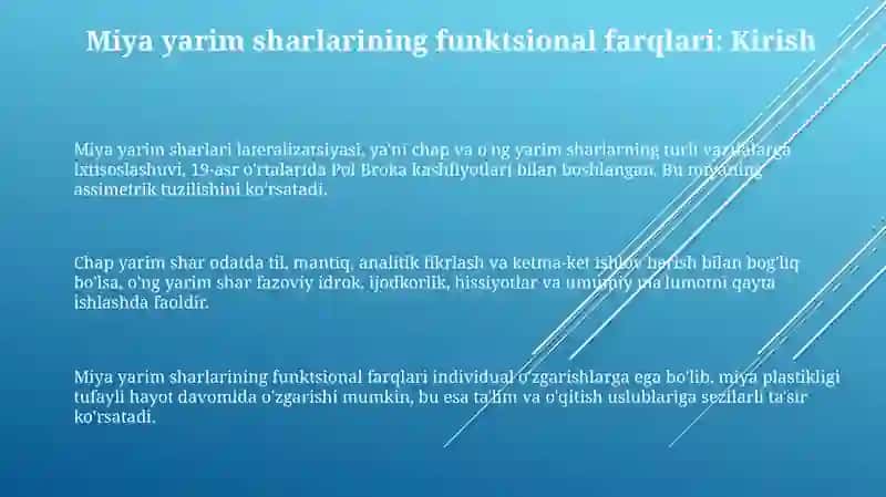 Miya yarim sharlarining funksional tafovutlari va ularni hisobga olishda pedagogning roli 3