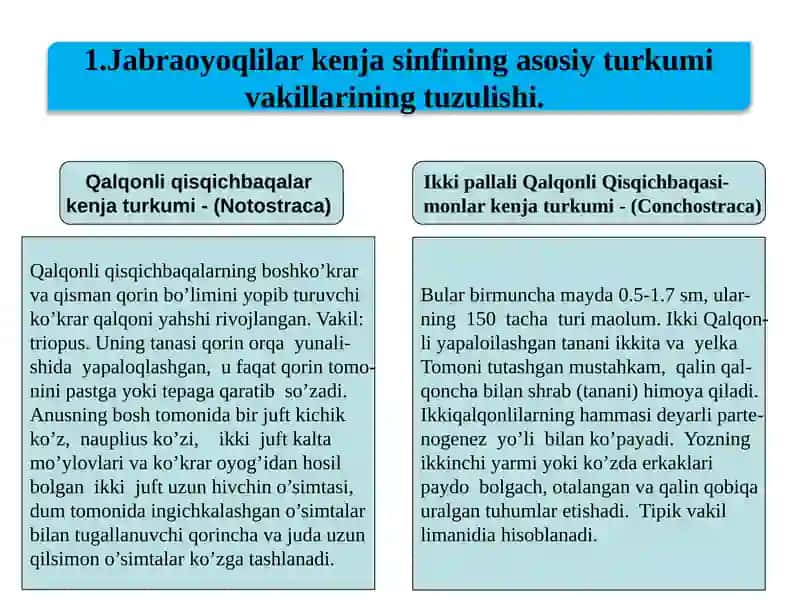 (ARTHRORODA) tipi Jabraoyoqlilar, sefalokaridalar, maksillapodalar, chig’anoqli va yuqori Qisqichbaqasimonlar 3