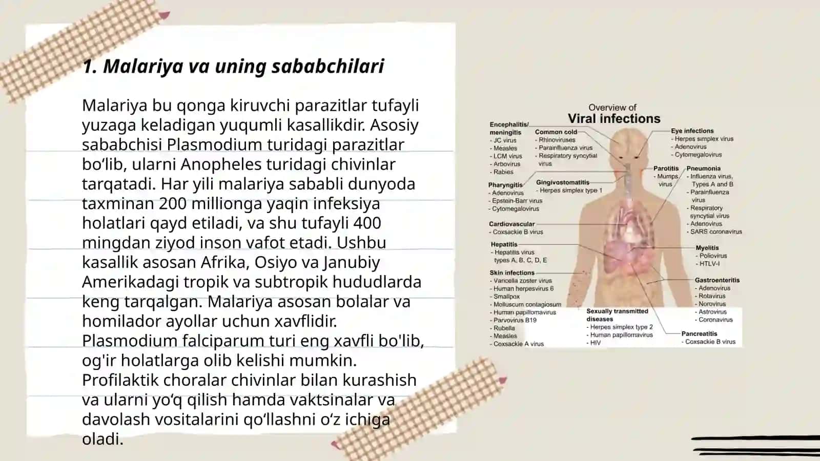 Parazitar infeksiyalar. Malyariya leshmanioz amebiaz 3