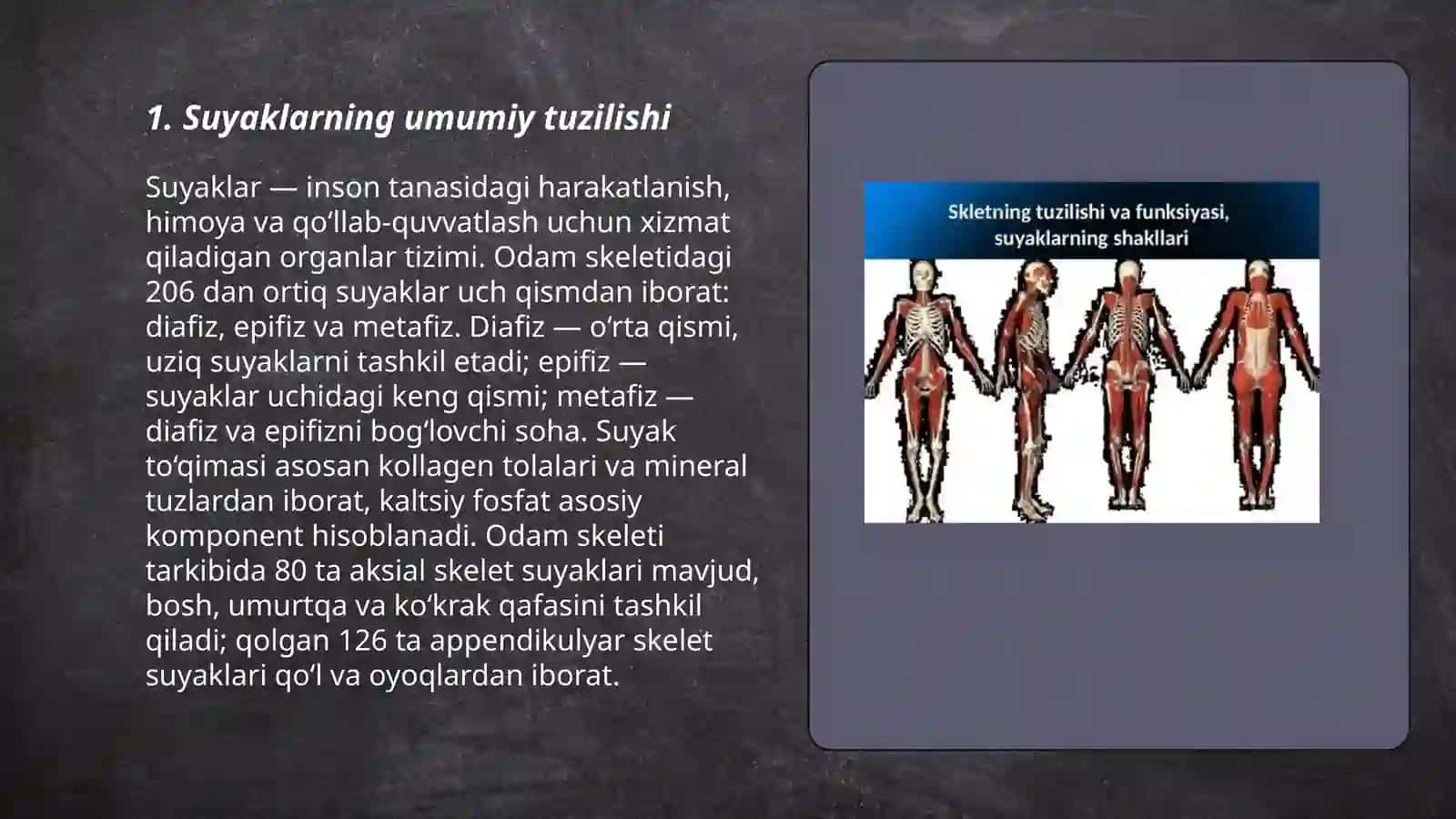 Organizimdagi suyaklarning tuzilishi ularning yosh xususiyatlari va turlari 3