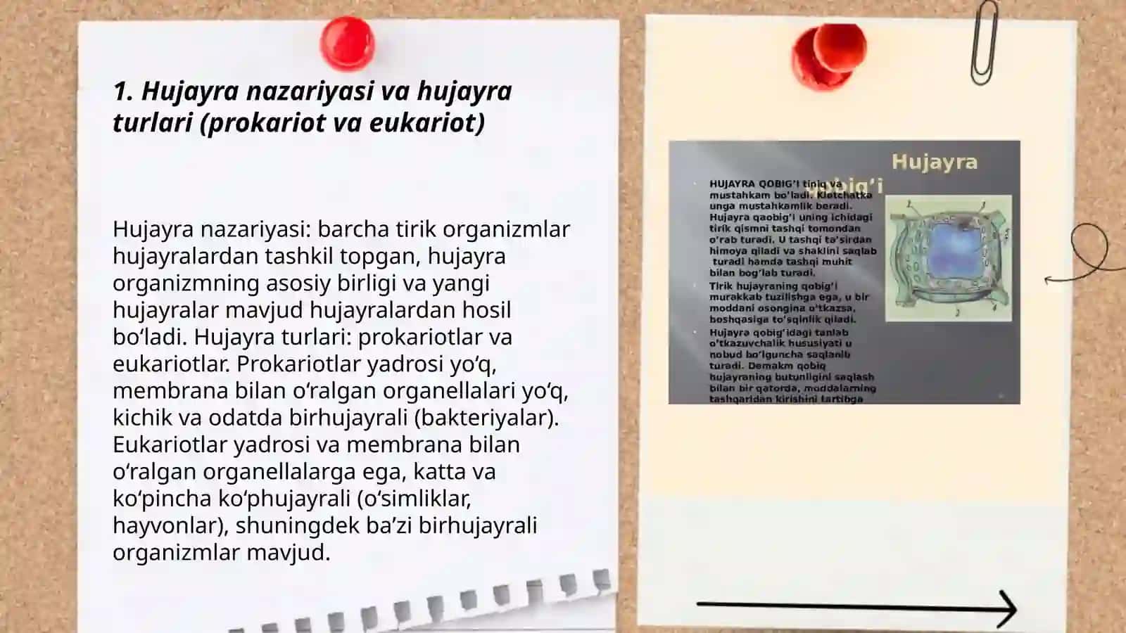 Hujayra tuzilishi va funksiyalari 3