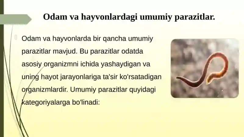 Odam va hayvonlarda parazitlik qiluvchi    umumiy parazitlar 3