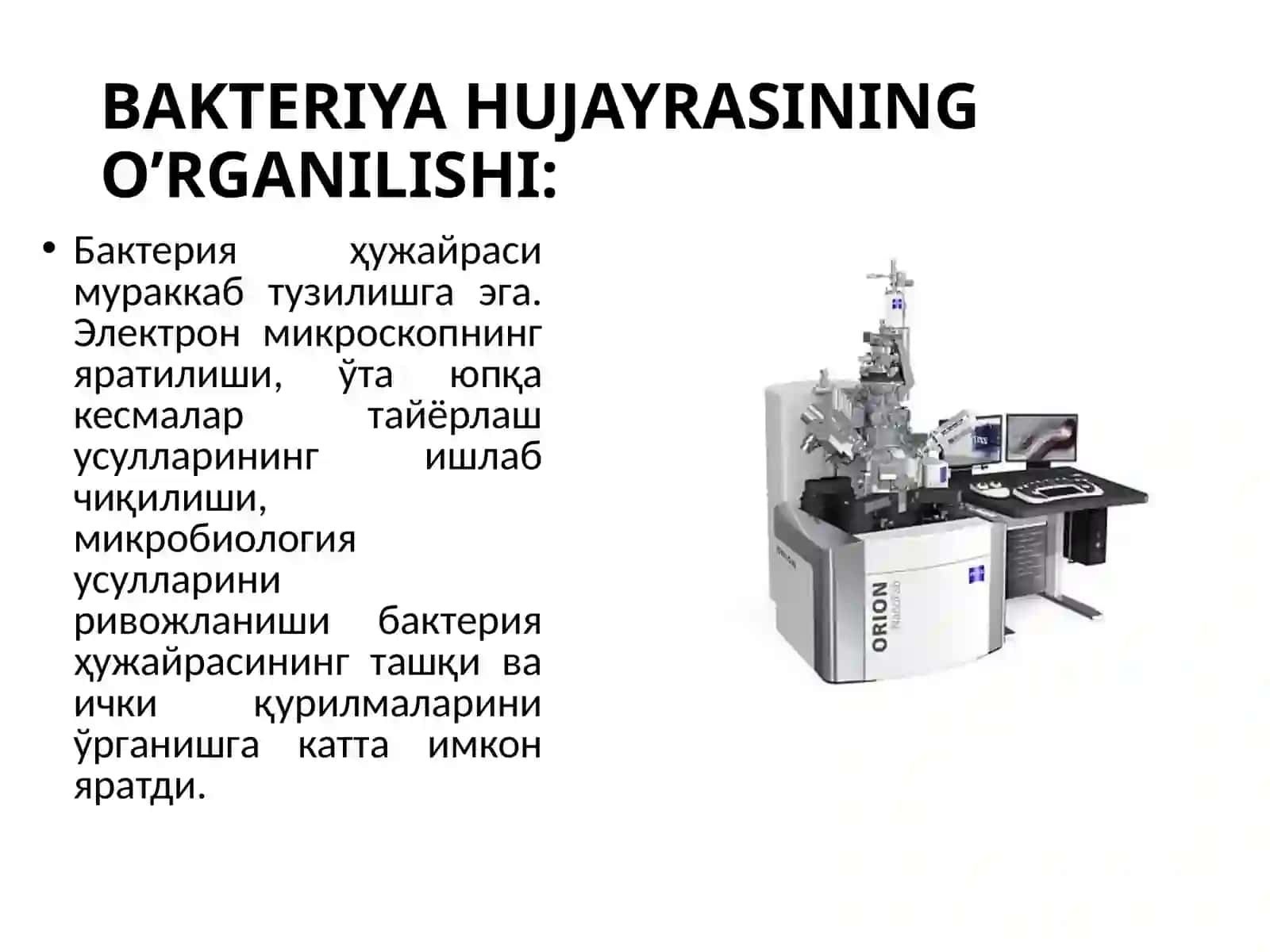 BAKTERIYA HUJAYRASINING TUZILISHI 3