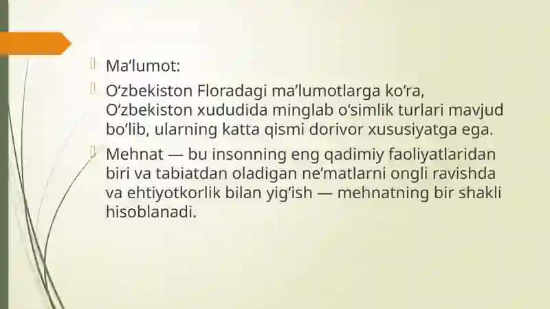 MEHNAT – MEHNATNING   TAGI  ROHAT .  O’ZBEKISTONNING  DORIVOR   O’SIMLIKLARI 3