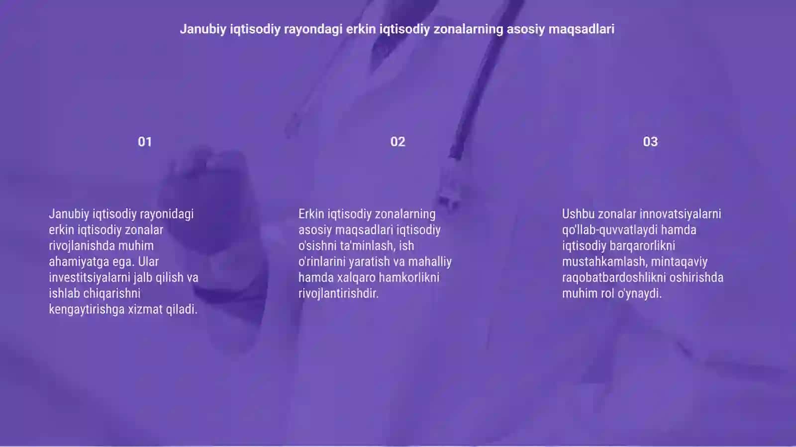 Janubiy iqtisodiy rayondagi erkin iqtisodiy zonalarning rivojlanishining o‘ziga xos jihatlari 3