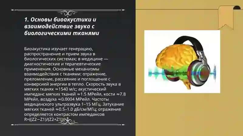 Биоакустика в медицине 3