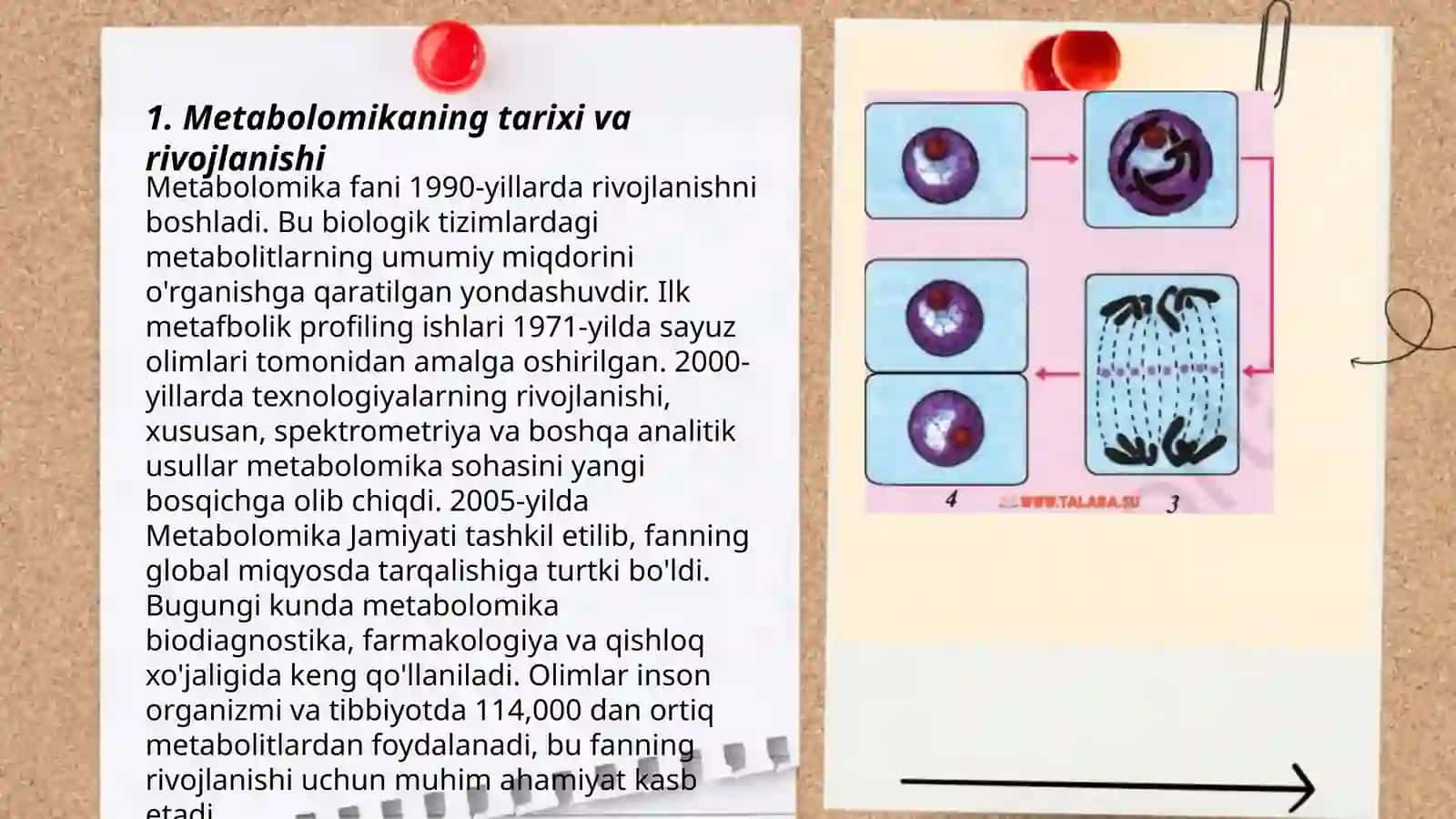 Metabolomika (tirik hujayralarda sodir bo'ladigan jarayonlarga xos noyob kimyoviy "barmoq izlari" ni tizimli o'rganish.) fanining asoslar 3