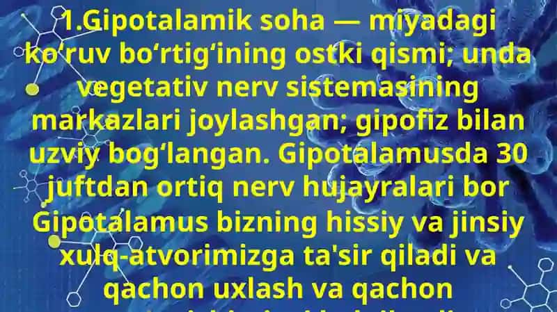 Gipotalamus oʻzaklari va ularning klinik ahamiyati 3