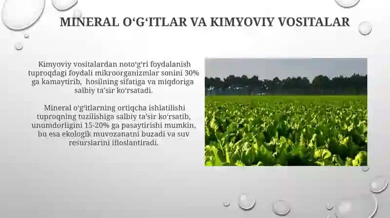 Mineral oʻgʻitlar va kimyoviy vositalar 3