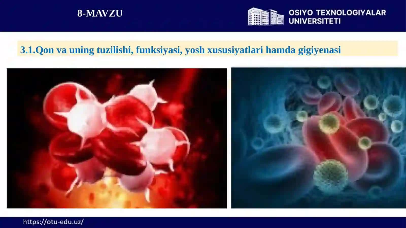 Qon aylanish, nafas olish, ovqat hazma’zolarining tuzilishi, funksiyasi yosh xususiyatlari va gigiyenasi 3