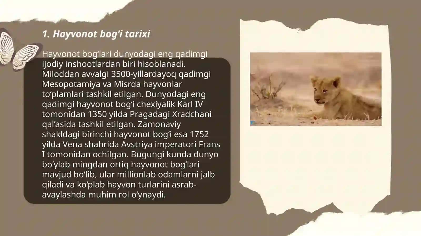 Biz hayvonot bogʻiga boramiz 3
