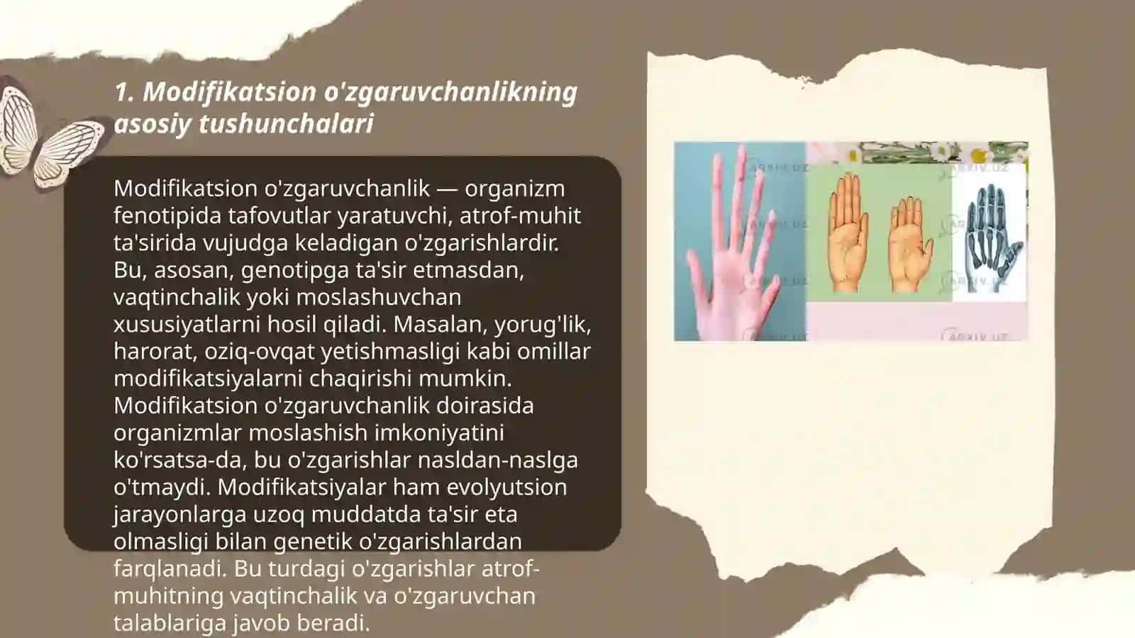 Modifikatsiyon oʻzgaruvchanlik haqida tushuncha 3