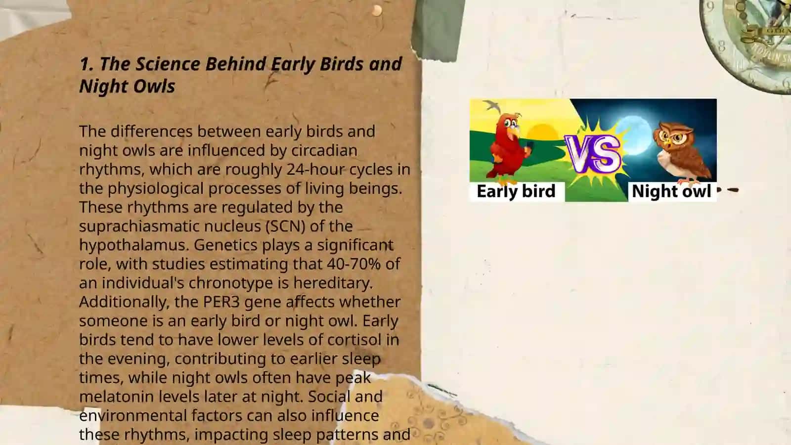 The Science Behind Early Birds and Night Owls 3