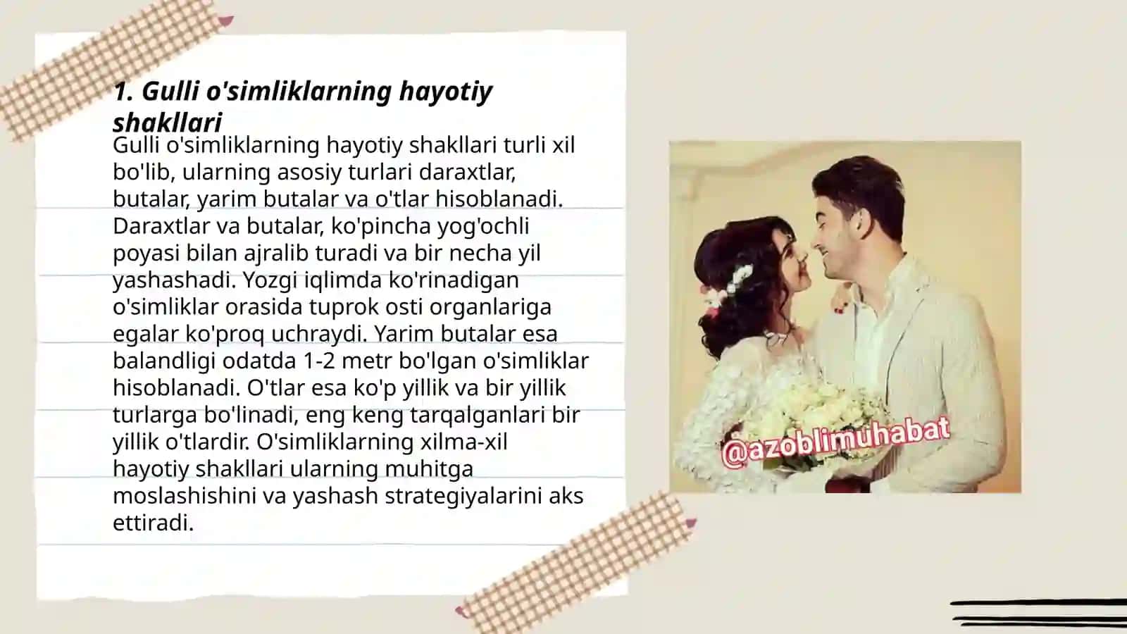 Gulli o'simliklarning hayotiy shakillariga doir masala va mashqlar 3