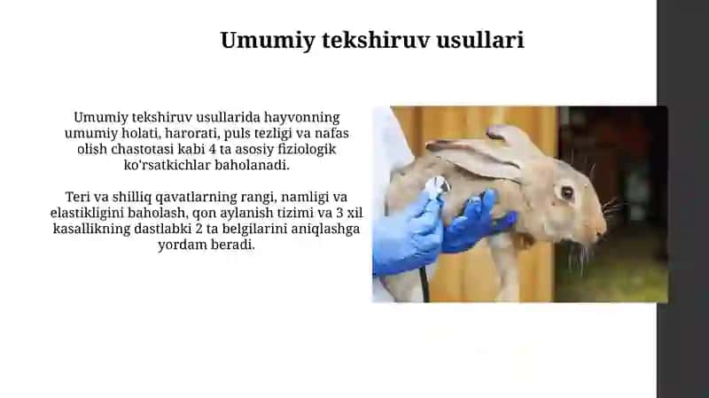 Hayvonlarni Tekshirish Usullari 3
