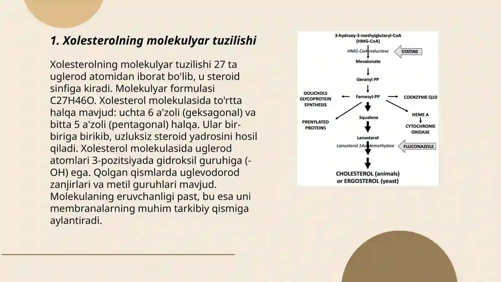 Xolesterol va steroidlar biosentezi 3