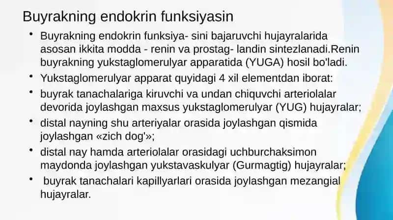 Buyrakning yukstaglomerulyar apparati sitofiziologiyasi. Nefronning gistofiziologiyasi. Buyraklar tuzilishi va regenerator imkoniyatlarining yoshga doir xususiyatlari. 3
