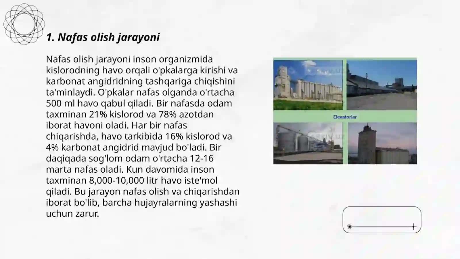 Don uyumlarini saqlashda roʻy beradigan fiziologik jarayonlar 3
