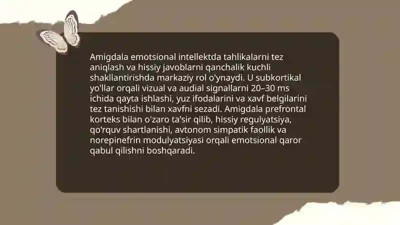 Emotsional intellektning neyrofiziologik asoslari 3