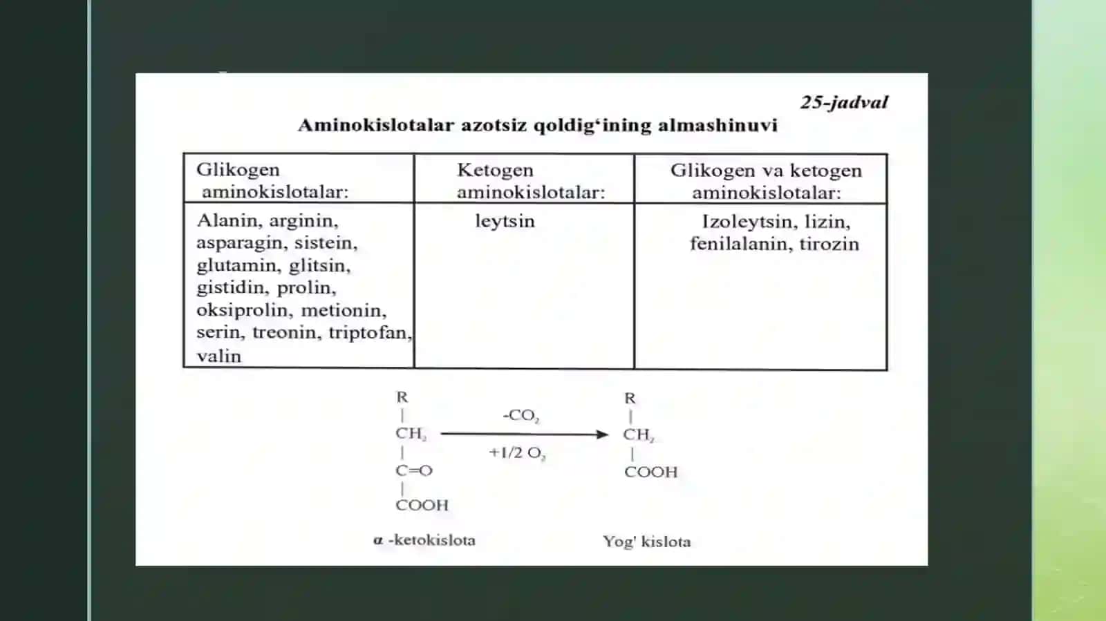 Aminokislotalarning almashinuvi 3