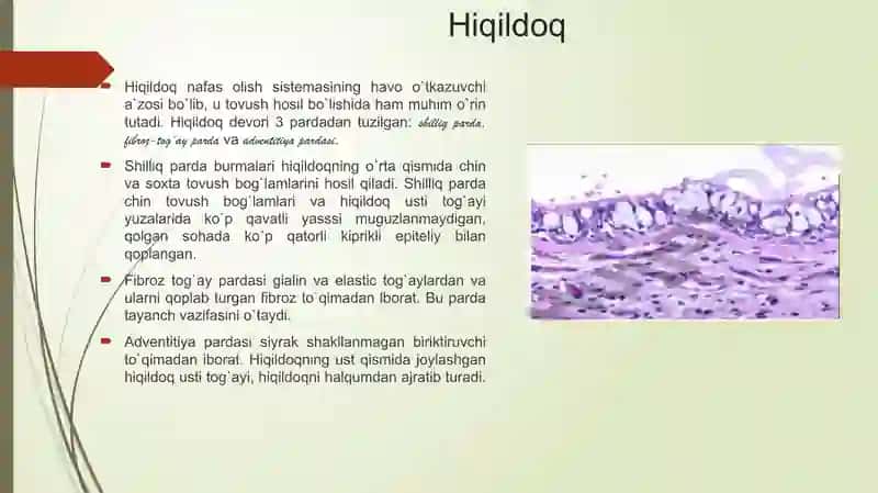 Atsinus. O'pka regeneratsiyasi 3