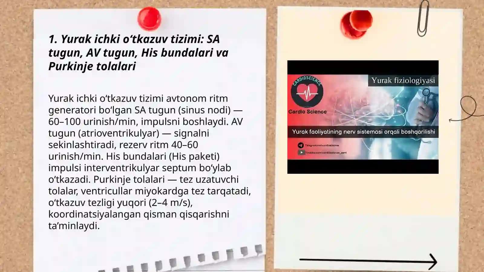 Elektrokardiografiya 3