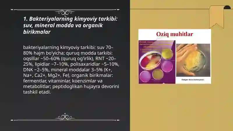 Bakteriyalarning fiziologiyasi 3