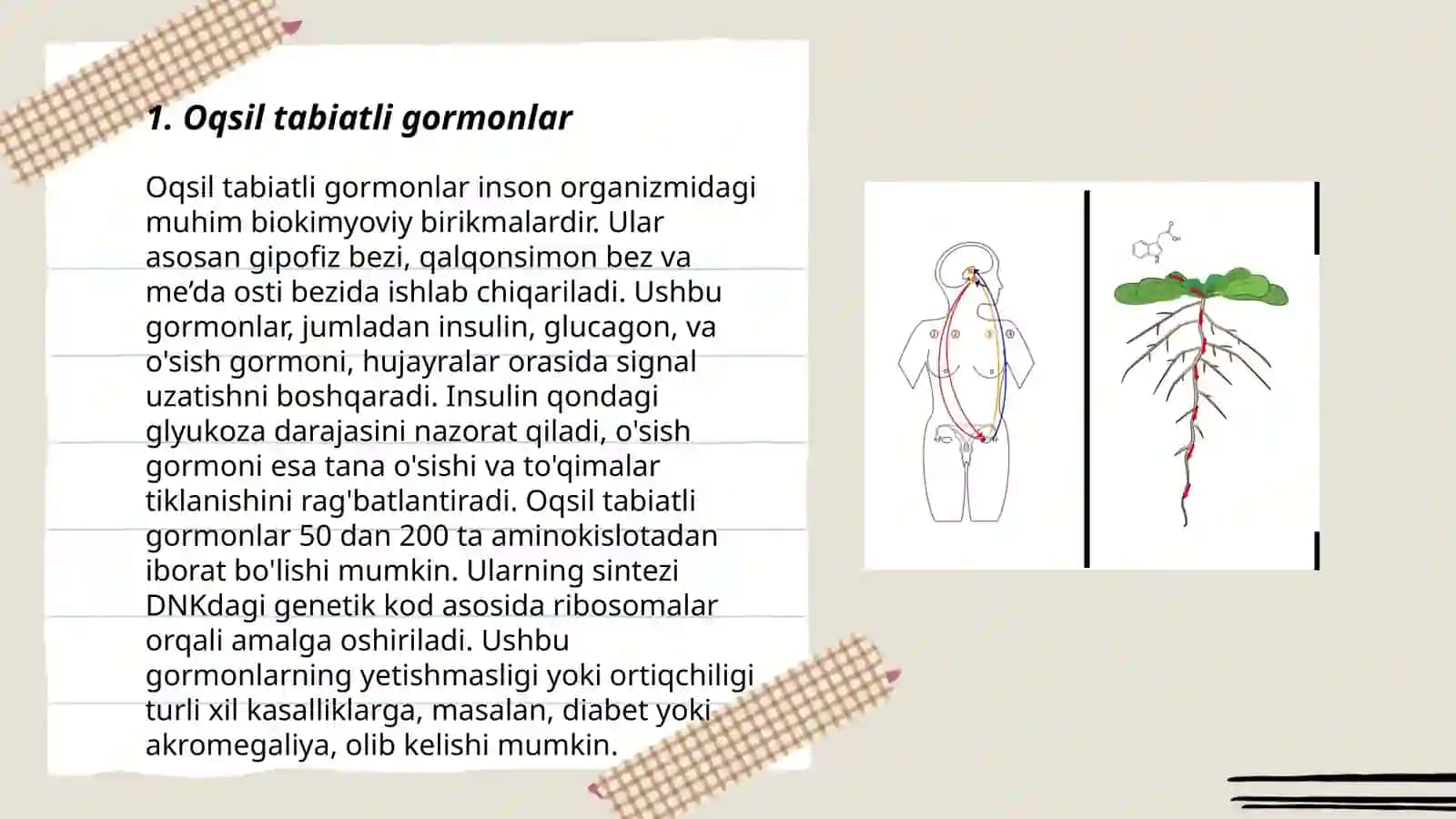 Oqsil tabiatli garmonlar va ularning ahamiyati 3