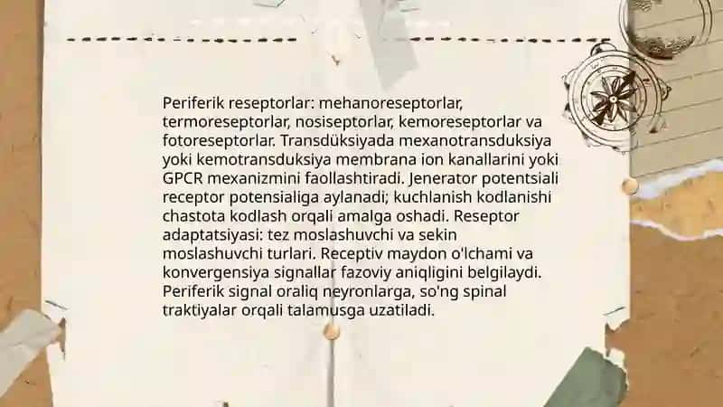 Idrokning neyrofiziologik mexanizmlari 3