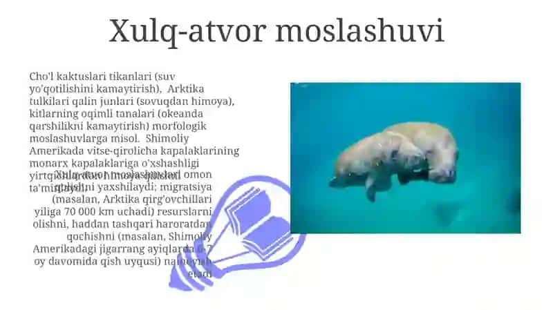 Muhitga organizmlarning moslashishi 3
