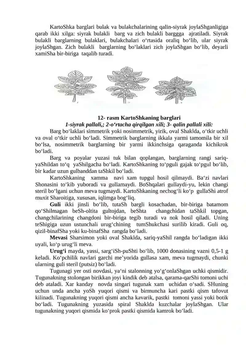TUGUNAKMEVALILAR GURUHI 3