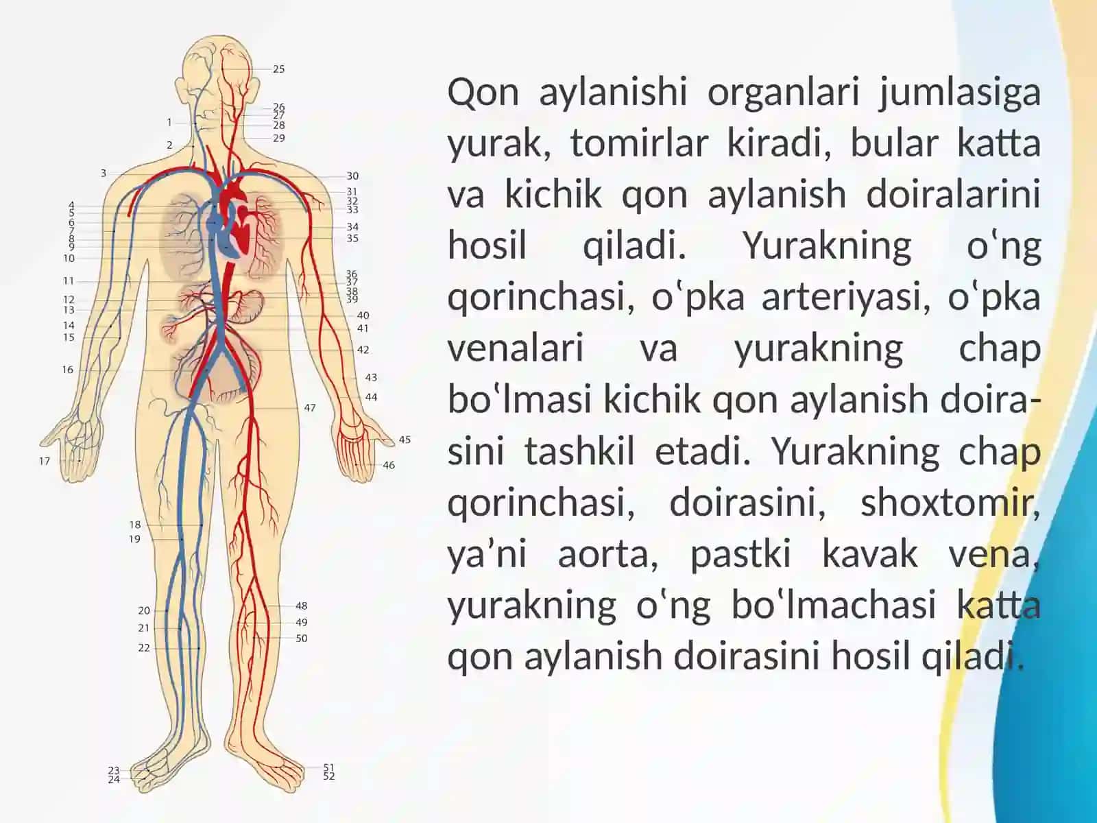 Gemodinamikaning buzilishlari. Tromboemboliya va shok. Genetik buzilishlar.Immun buzilishlar 3