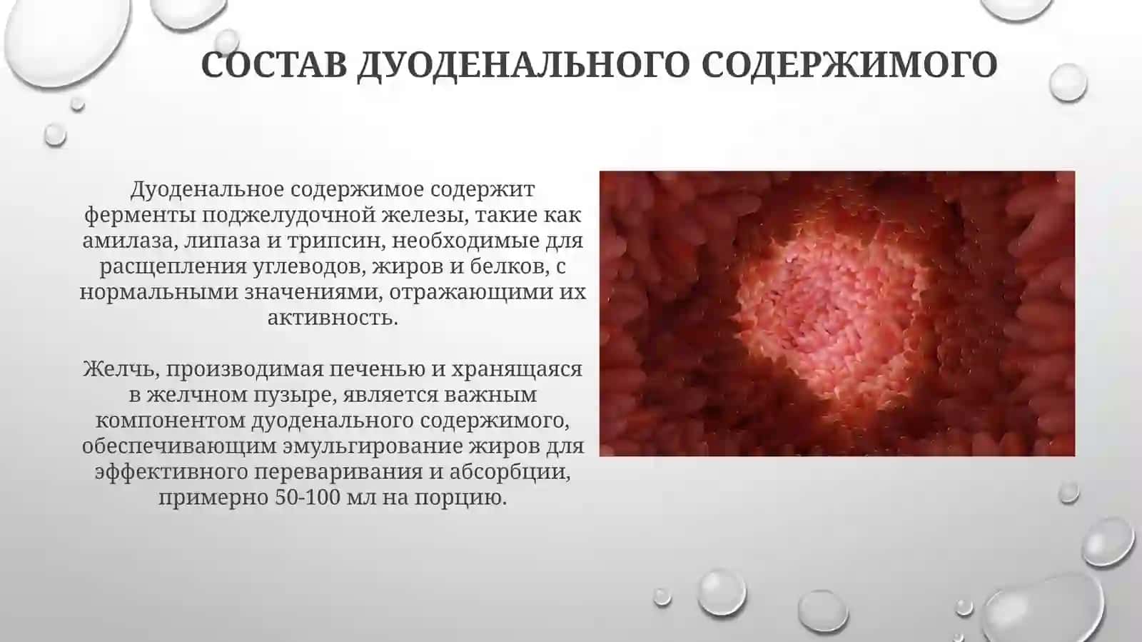 Пропедевтика внутренних болезней 3