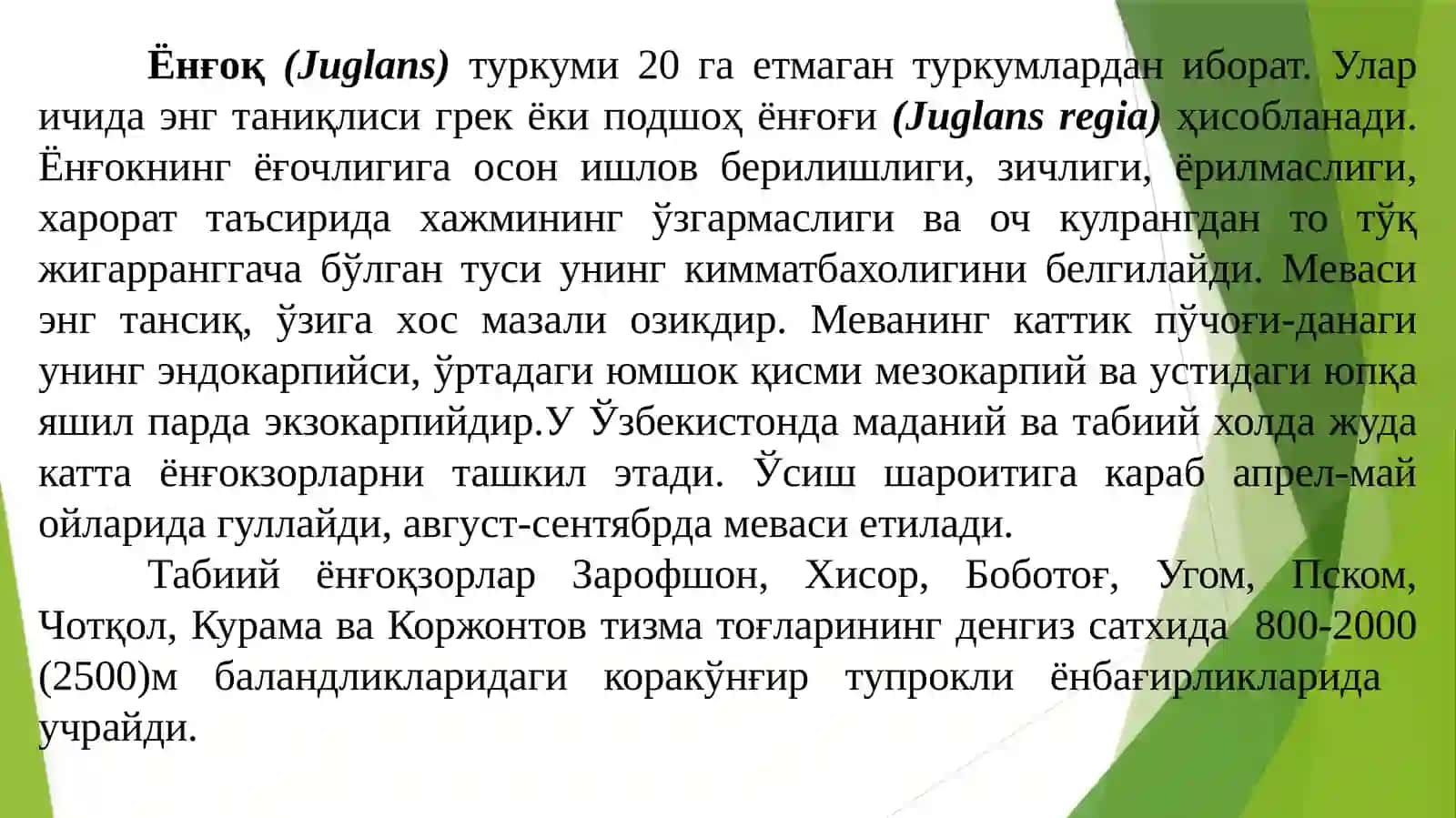 Ёнғоқдошлар (Juglandaceae) oиласи 3