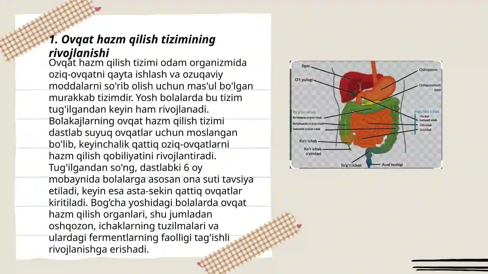 Ovqat hazm qilish tizimining yosh xususiyatlari va ovqatlanish gigiyenasi 3