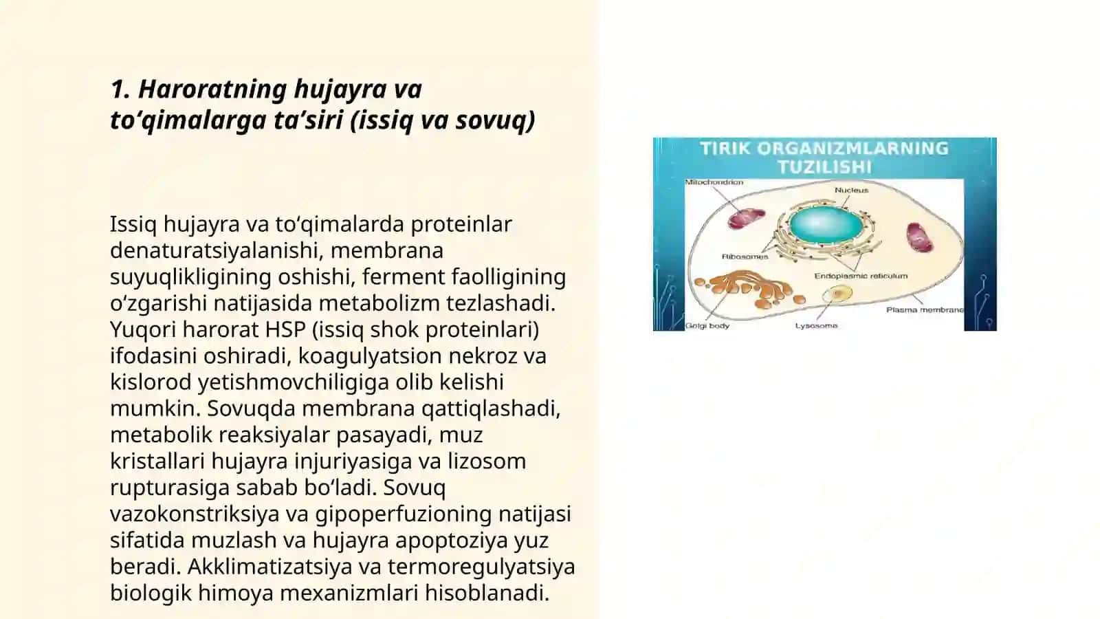 Tirik organizm toʻqima va Hujayralariga fizik omillarning taʼsiri 3