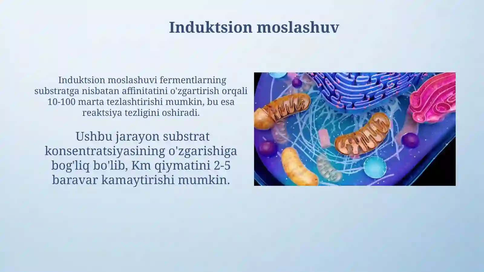 Fermentlarning tasir mehanizmi, spatsifigligi va reaksiyalar kinetikasi 3