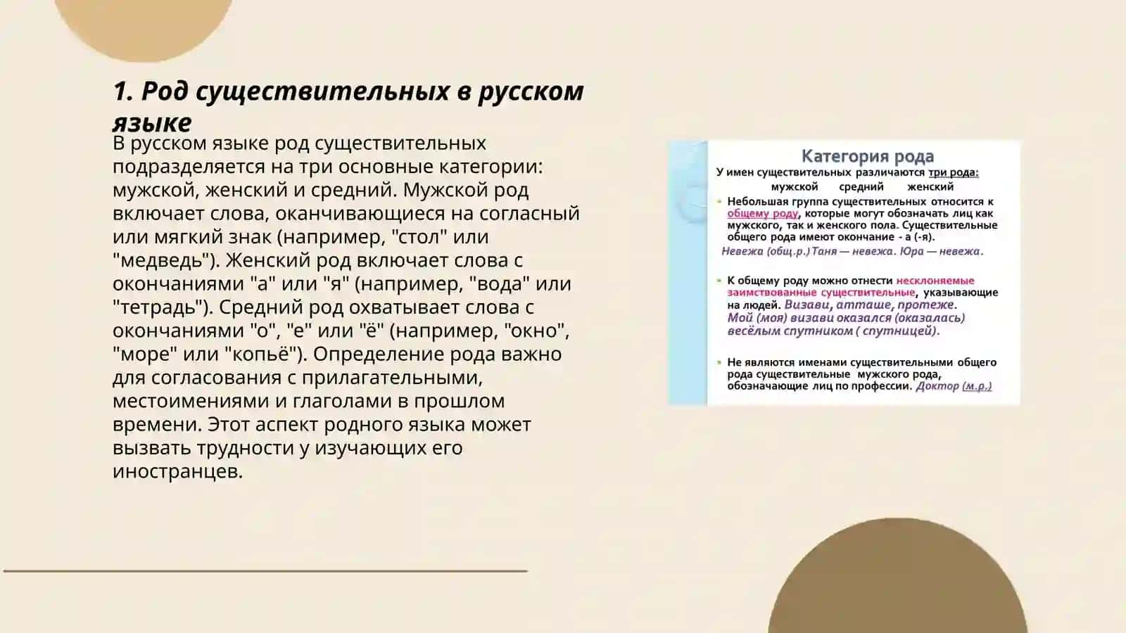 Имя существительное. Категория рода и числа 3