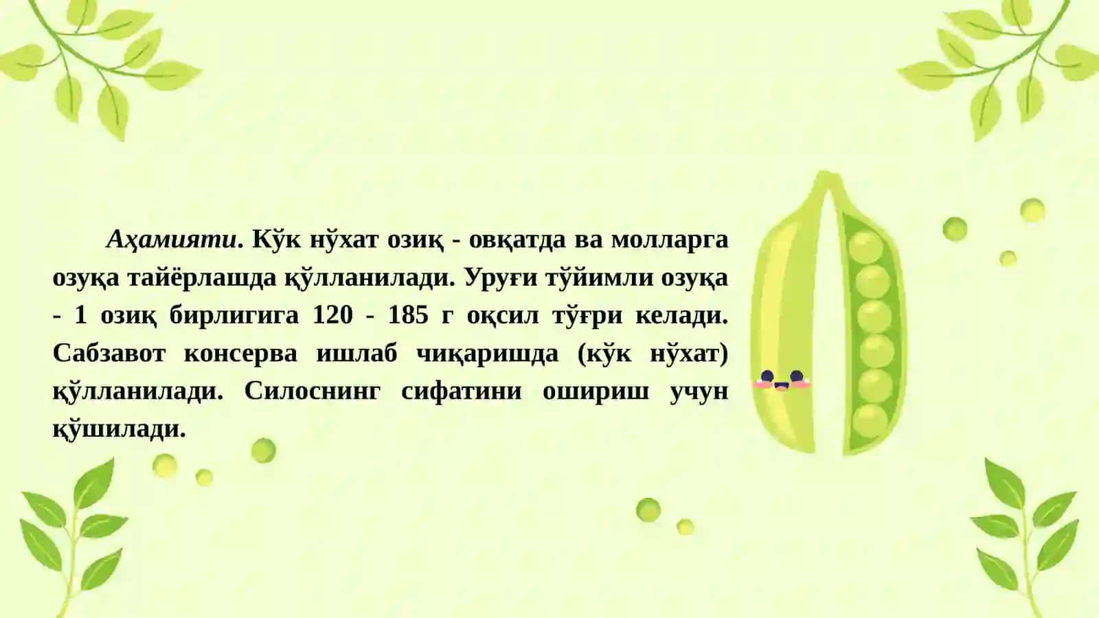 Ko‘k no‘xat biologiyasi va yetishtirish texnologiyasi 3