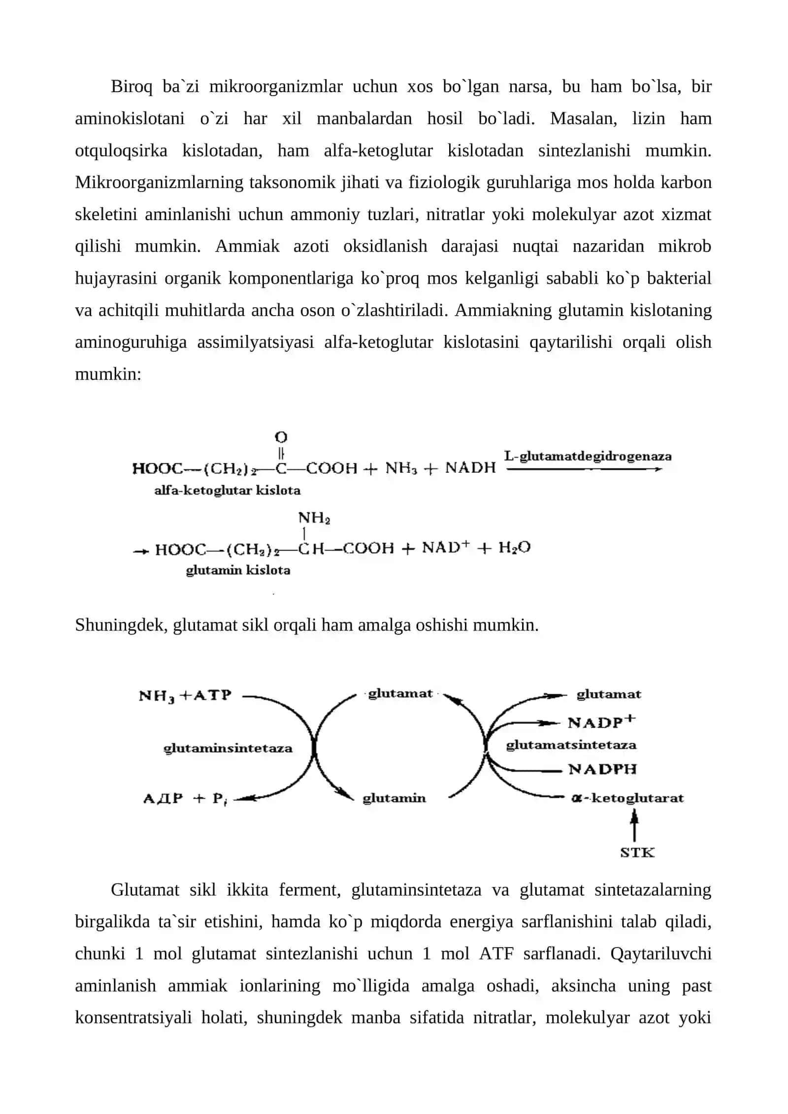 Aminokislotalar biosintezi texnologiyasi 3