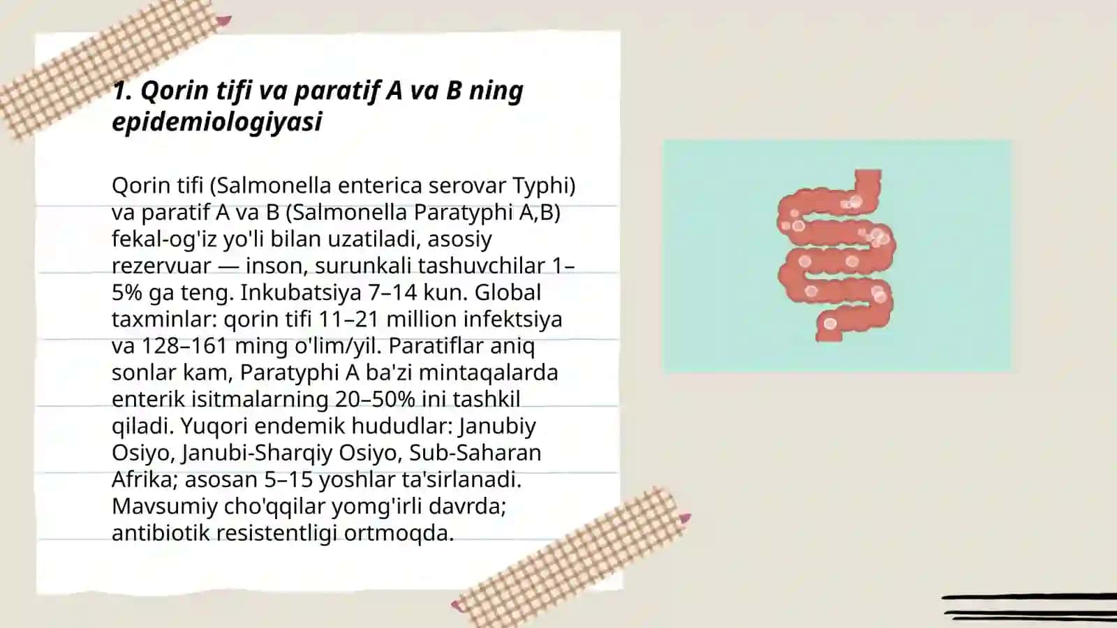 Qorin tifi va paratif A va B qo'zg'atuvchilari keltirib chiqaradigan kasalliklari 3