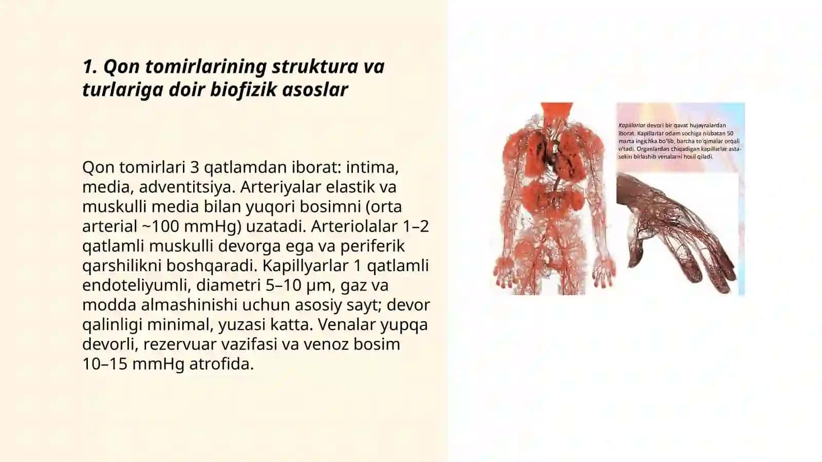 11.Qon tomirlari orqali moddalar almashishining biofizikaviy mexanizmi 3