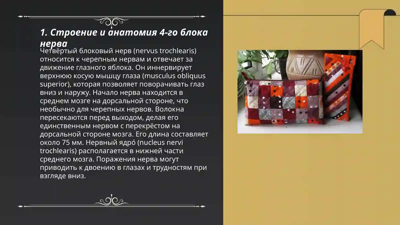 Четвёртый блоковый нерв (nervus trochlearis) 3